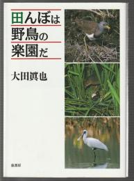 田んぼは野鳥の楽園だ