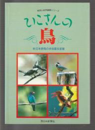 ひこさんの鳥