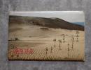 <絵はがき全8枚> 鳥取砂丘