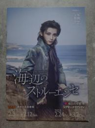 宝塚歌劇 雪組 神奈川芸術劇場公演/シアター・ドラマシティ公演/ ミュージカル・フォレルスケット 海辺のストルーエンセ 阪急阪神東宝グループ <パンフレット>