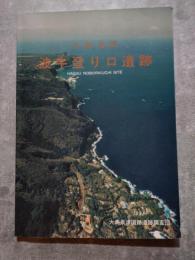 大島泉津 波牛登り口遺跡 1994