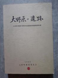 大野原の遺跡 大分県大野郡大野町所在遺跡群発掘調査報告書　1980 （付図2枚付）