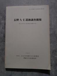長野A・E遺跡調査概報―北九州市小倉南区長野所在― 1984年 北九州市埋蔵文化財調査報告書第24集