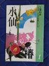 花材別いけばな作例シリーズ1　水仙　椿
