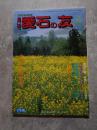 愛石情報誌 月刊 愛石の友 1998年4月号「愛石110番」／ 水石の色 ／ 産地情報 東京都