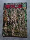 愛石情報誌 月刊 愛石の友 1985年5月号 特集 由来石の美 杉井忠司氏 ／ 茨城県の石