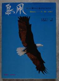 鳥凧 やっと鴎たちと友達になれた! Beauty……in the wind!