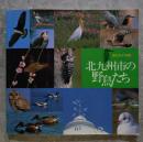 渡り十字路 北九州市の野鳥たち