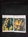 続、続々野草のたのしみ ２冊セット