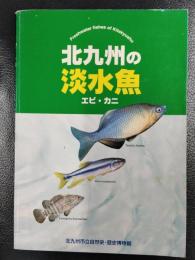 北九州の淡水魚　エビ・カニ