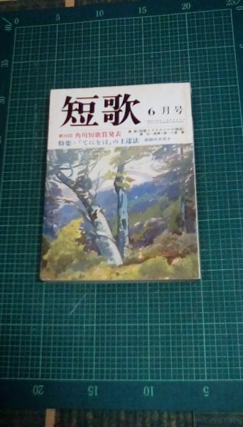 短歌 平成2年6月号(目次/作品:十四首/春:岡部文夫 幻の時間:三木アヤ ぬれつばめ:西村尚 樹の声:稲葉京子 作品三十二首/冬山:白石昻