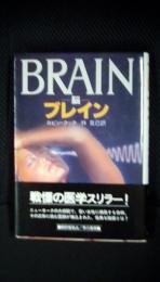 ブレイン 脳　