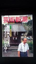 芸術新潮 1999年1月号【大特集 大胆推理紀行】梅原猛、天皇家の”ふるさと”日向をゆく　