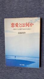 恋愛とは何か　初めて人を愛する日のために