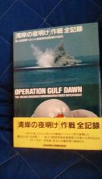 「湾岸の夜明け」作戦全記録　海上自衛隊ペルシャ湾掃海派遣部隊の188日