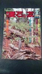 月刊　愛石の友　1989年7月号