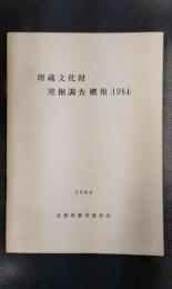 埋蔵文化財発掘調査概報　（1984）