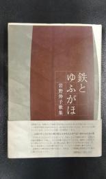 歌集　鉄とゆふがほ　塔21世紀叢書第148篇