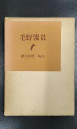 毛野惨景　津久井理一句集