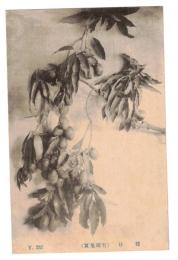 台湾　台湾果実　様仔　絵葉書　1枚