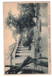 絵葉書 台北新公園　博物館側面