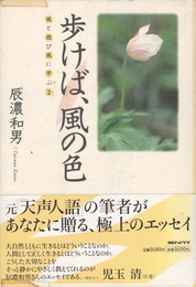 歩けば、風の色　風と遊び風に学ぶ２