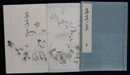 虫声集