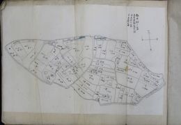 筑前国夜須郡依井村全図