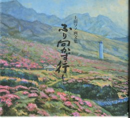 ふり向かず行く 　上田ソノ画文集