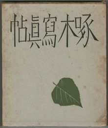 啄木写真帖