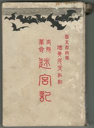 支那革命迷宮記