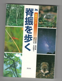 背振を歩く