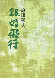 銀婚飛行
