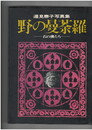 野の曼荼羅　石の仏たち 辺見泰子写真集