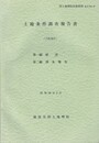 土地条件調査報告書　大阪地区