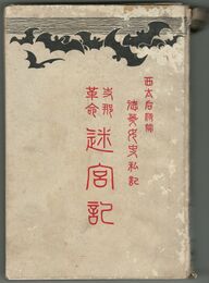 支那革命迷宮記