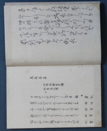 尻長鳥集