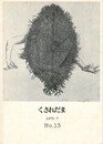 くされだま　１３