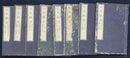 日本政記　１６巻８冊揃