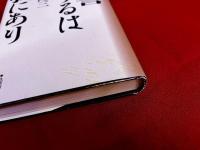 復讐するは我にあり　改訂新版