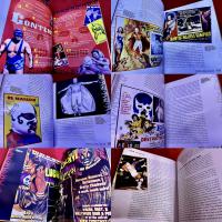 Mondo Lucha A Go-Go The Bizarre and Honorable World of Wild Mexican Wrestling （洋書 英語 ルチャ・リブレ）