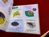 むしのあかちゃん