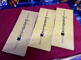 関中本　智永草書千字文　全3巻揃　二玄社　拡大法書選集