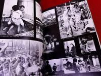 谷内六郎の世界　愛・郷愁・抒情の画家