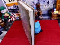 Illustrators 15　The Fifteenth Annual of American Illustration　（洋書　英語）