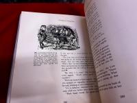 The Annotated Alice　Alice's Adventures in Wonderland & Through the Looking Glass　（洋書　英語　注釈アリス　イラスト入り）
