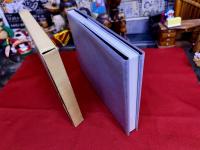 江戸町火消合印控