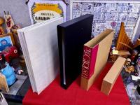 写GIRL（写ガール）81 化粧豪華版 横尾忠則 林忠彦 沢渡朔 石川洋司 奈良原一高 立木義浩 ケン影岡 デビッド・ハミルトン イリナ・イオネスコ 細江英公 手塚治虫