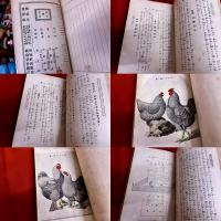 玉子料理　鶏肉料理　二百種　及家庭養鶏法　食道楽補遺