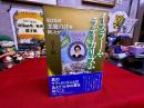 イスラーム・ラディカリズム　私はなぜ「悪魔の詩」を訳したか